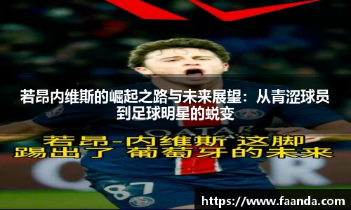 emc易倍体育官方