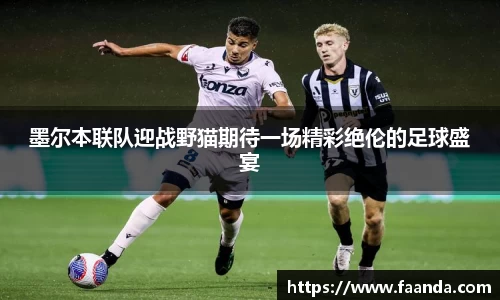 墨尔本联队迎战野猫期待一场精彩绝伦的足球盛宴